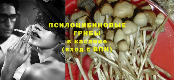не бодяженный Алзамай