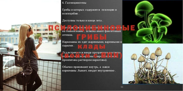 стаф Абдулино