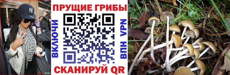 Псилоцибиновые грибы MAGIC MUSHROOMS Саки